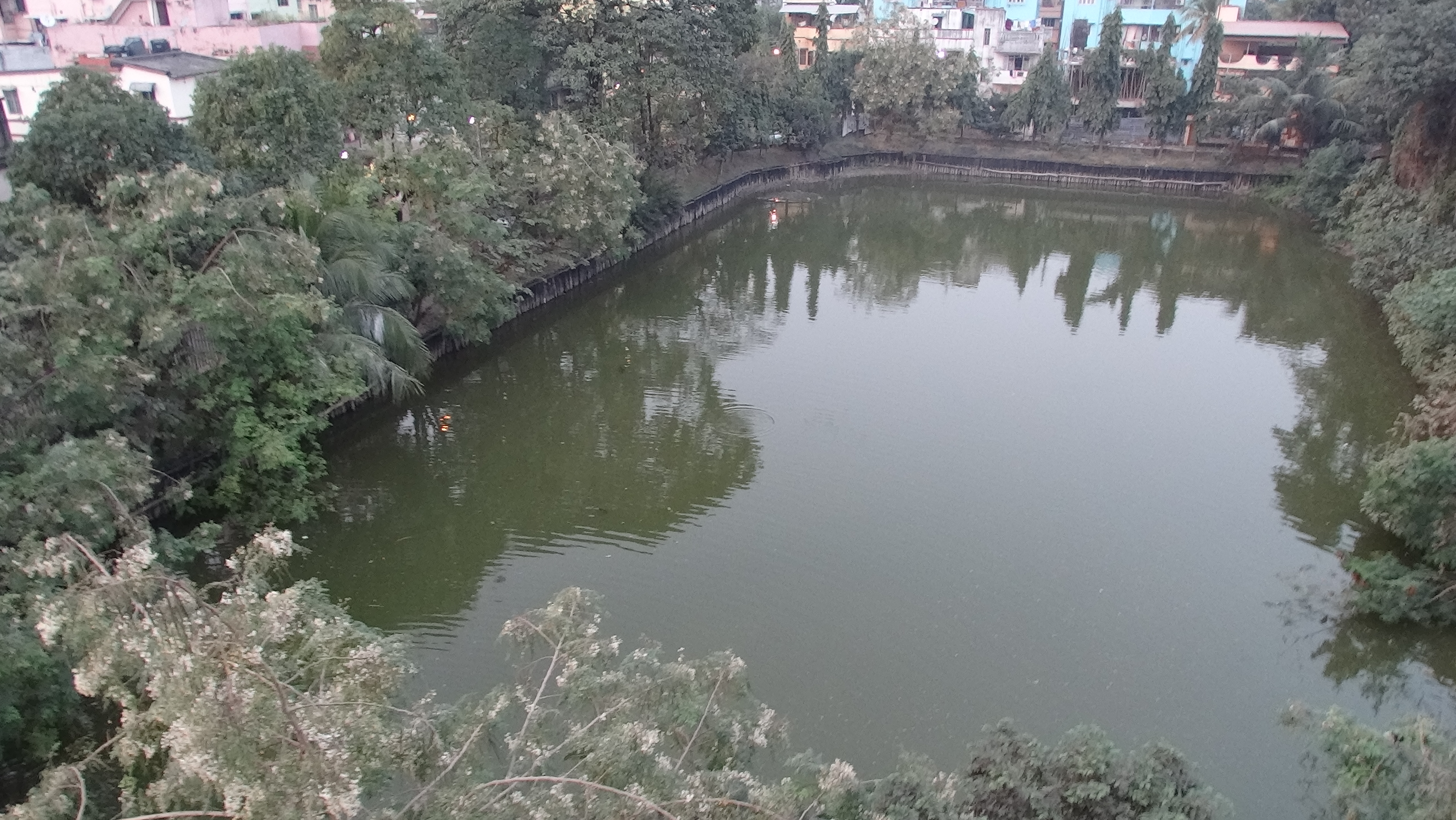 A Sustainable Natural Habitat