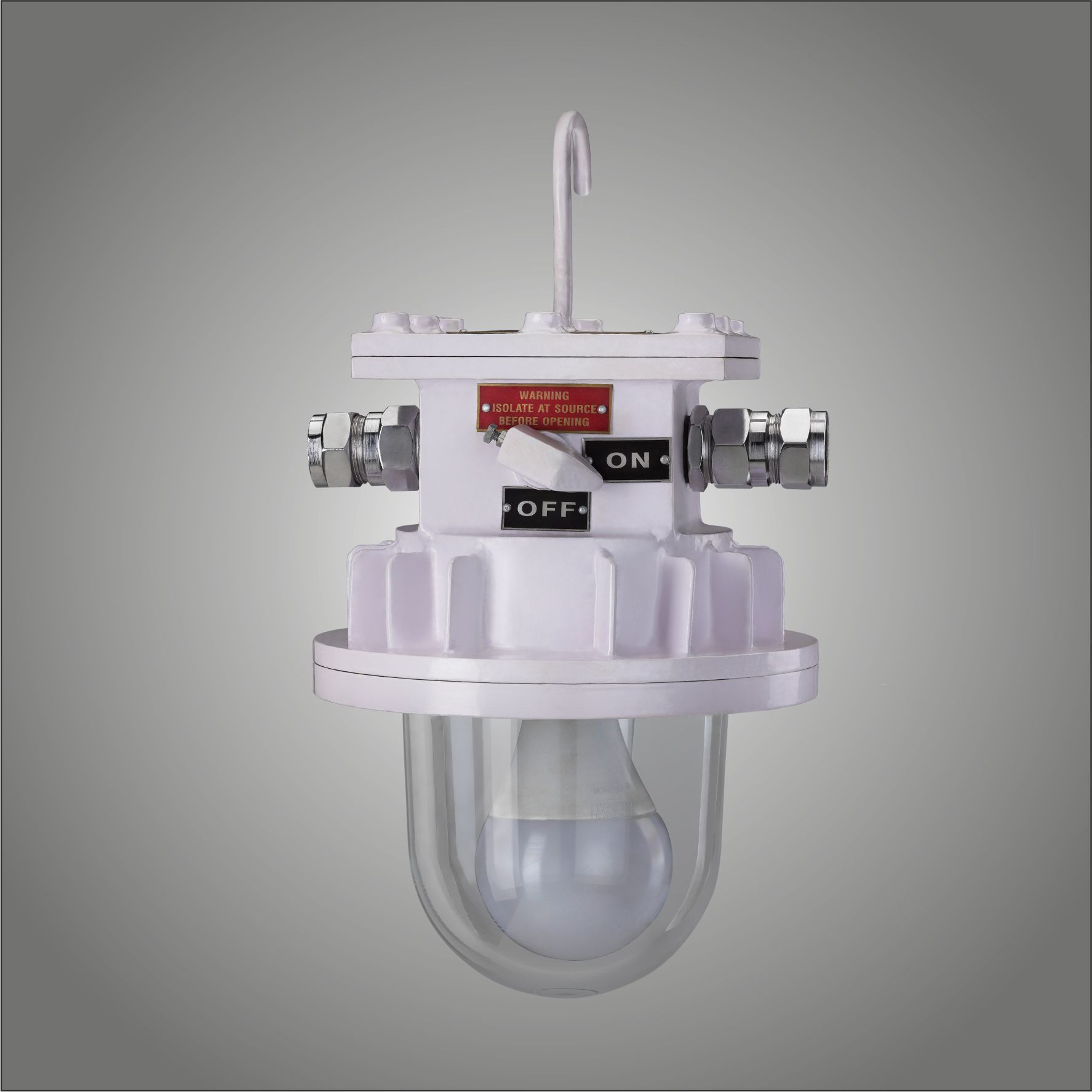 Well Glass Light Fitting